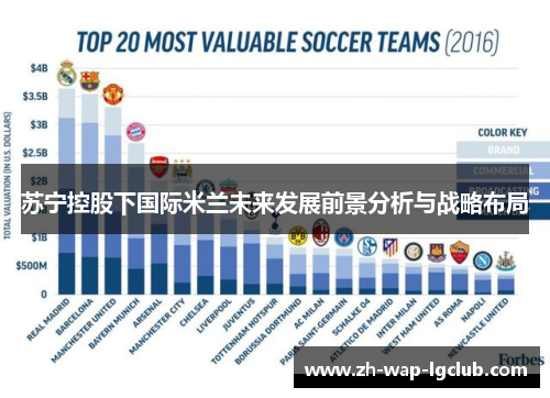 苏宁控股下国际米兰未来发展前景分析与战略布局