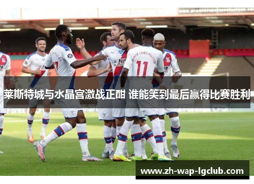 莱斯特城与水晶宫激战正酣 谁能笑到最后赢得比赛胜利 莱斯特城与水晶宫激战正酣 谁能笑到最后赢得比赛胜利