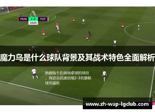 魔力鸟是什么球队背景及其战术特色全面解析