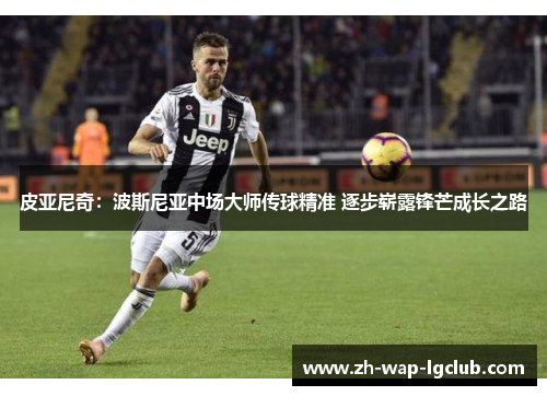 皮亚尼奇：波斯尼亚中场大师传球精准 逐步崭露锋芒成长之路