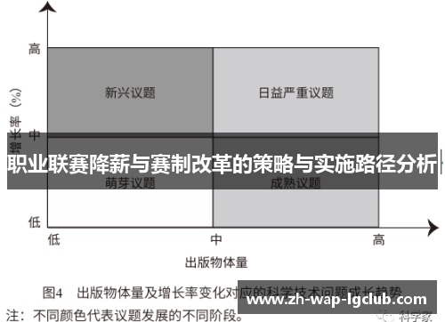 职业联赛降薪与赛制改革的策略与实施路径分析 职业联赛降薪与赛制改革的策略与实施路径分析