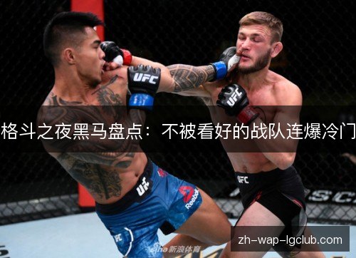 格斗之夜黑马盘点:不被看好的战队连爆冷门 格斗之夜黑马盘点:不被看好的战队连爆冷门